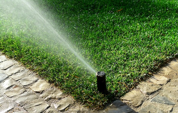 Irrigation Service