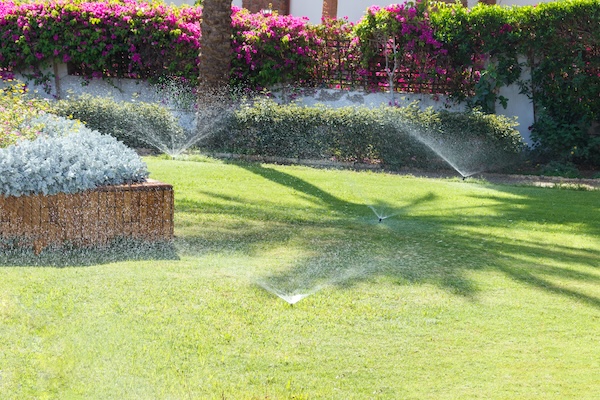 Residential Landscaping and Irrigation